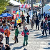 Lạc lối trong rừng chợ đồ cũ đẹp - độc - rẻ ở Nhật 